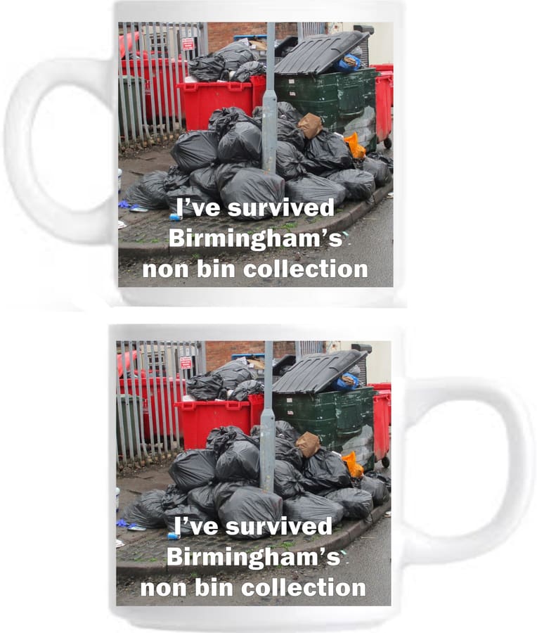 'I've survived Birmingham's non bin collection 10oz mug