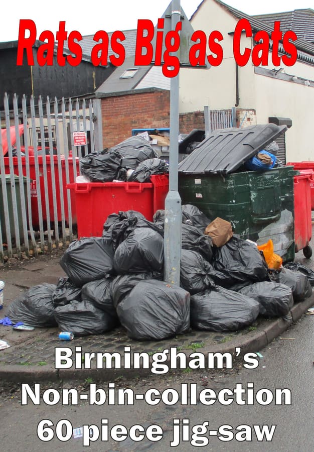 Rats as Big as Cats Jigsaw Birmingham's non-bin-collection.